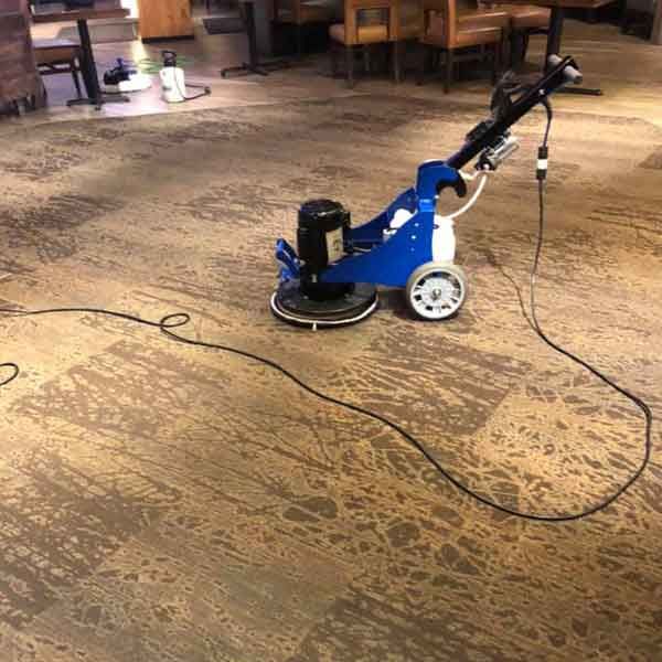 Commercial Carpet Cleaning Results