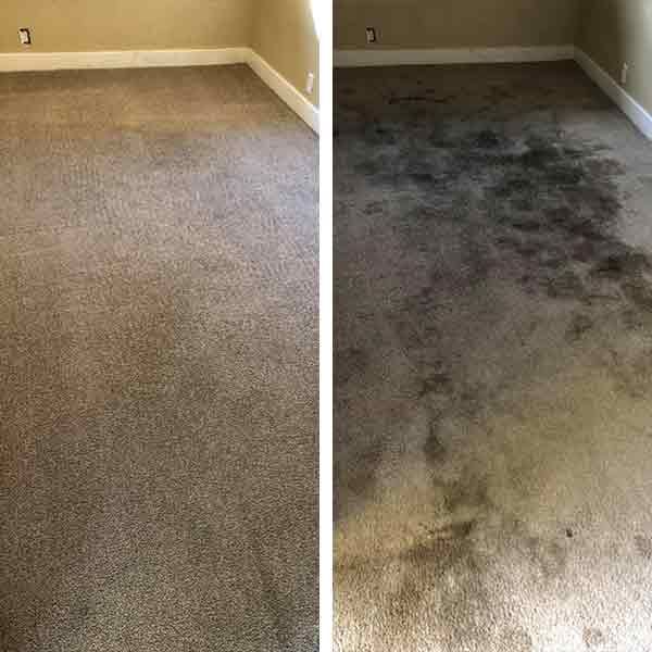 Stain Removal Results